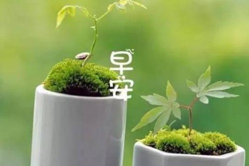 早上问候语温馨正能量