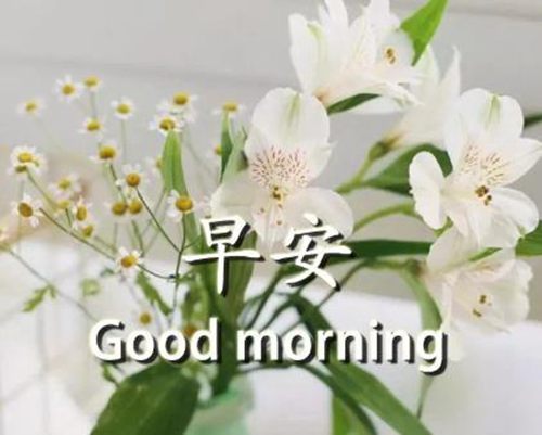 幽默风趣的早安问候语