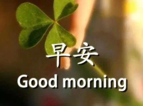 幽默风趣的早安问候语
