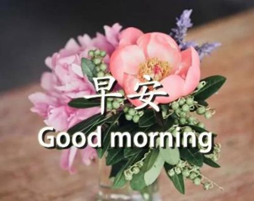 幽默风趣的早安问候语