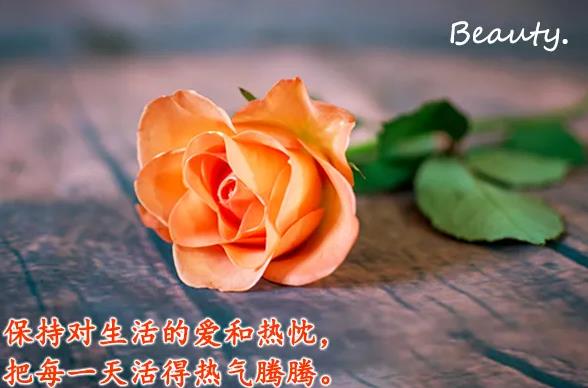 向朋友问候早上好的简短句子