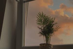 牵挂思念早上祝福语